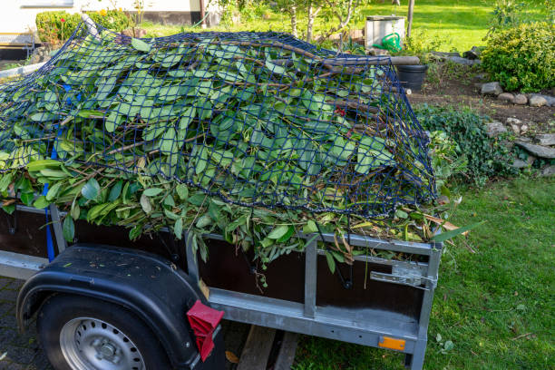 Best Estate Cleanout  in Homer City, PA